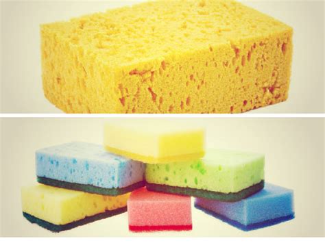 The Science Behind the Shower Magic Sponge